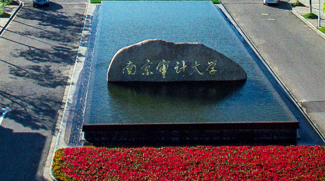 2020南审审计专业全_2020年薪资排名第一专业公布!全国会计所平均薪资大