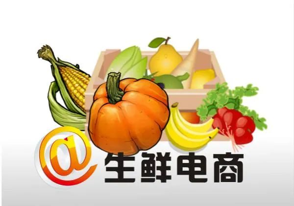 中国农业大学柯炳生:发展农产品电商需要注意什么?