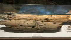 经济管理学院组织开展毕业生政策宣讲会议2018