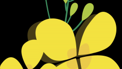 第二届西藏旅游发展与旅游教育高端论坛在我校