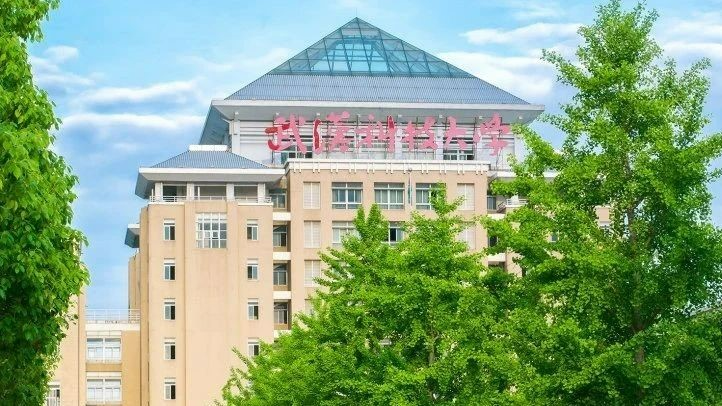 武汉科大 www.mbachina.com