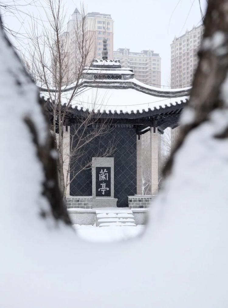 东北农业大学雪景图片