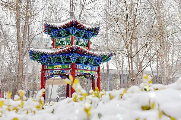 招聘｜2022年公开招聘岗位聘用工作人员公告BOB全站(图3)