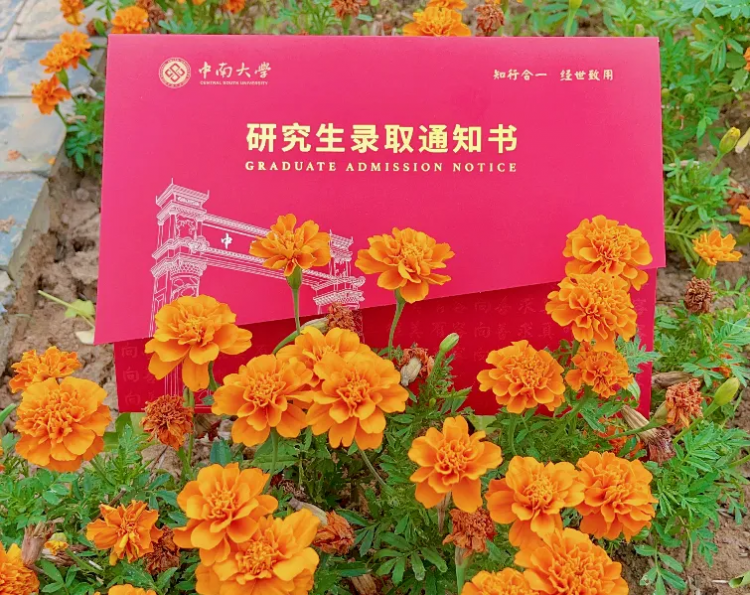 1740131739906.jpg