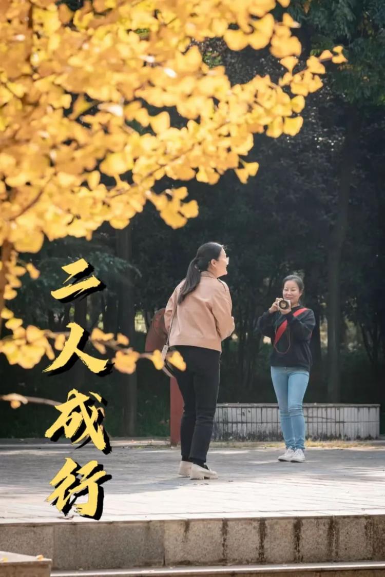 微信圖片_20250208225151.jpg