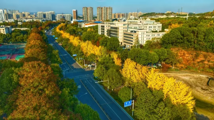 微信圖片_20250705123951.jpg