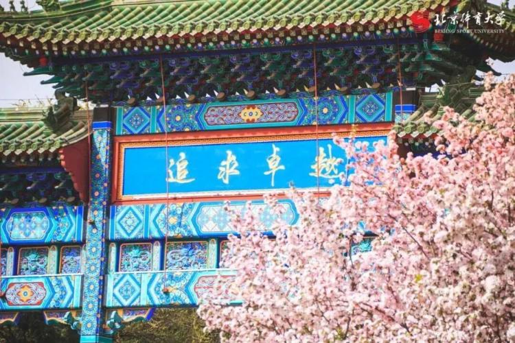 半岛体育- 半岛体育官方网站- 百家乐棋